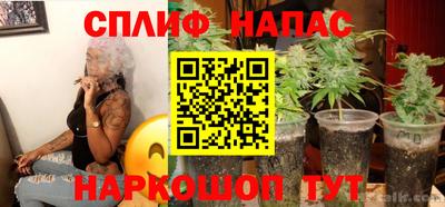 гидра Нарткала