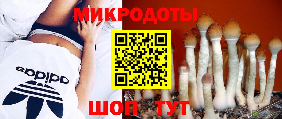 Галлюциногенные грибы Cubensis Усть-Илимск