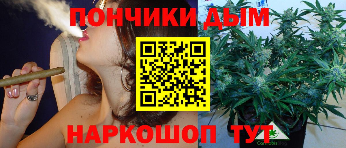 Шишки марихуана план  Шишки марихуана SATIVA & INDICA  Усть-Илимск  Вход с VPN  Бошки марихуана марихуана 